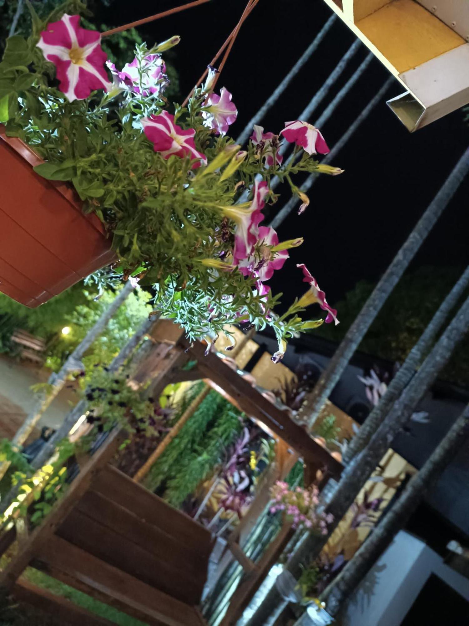Hotel Flores De Holambra Zewnętrze zdjęcie